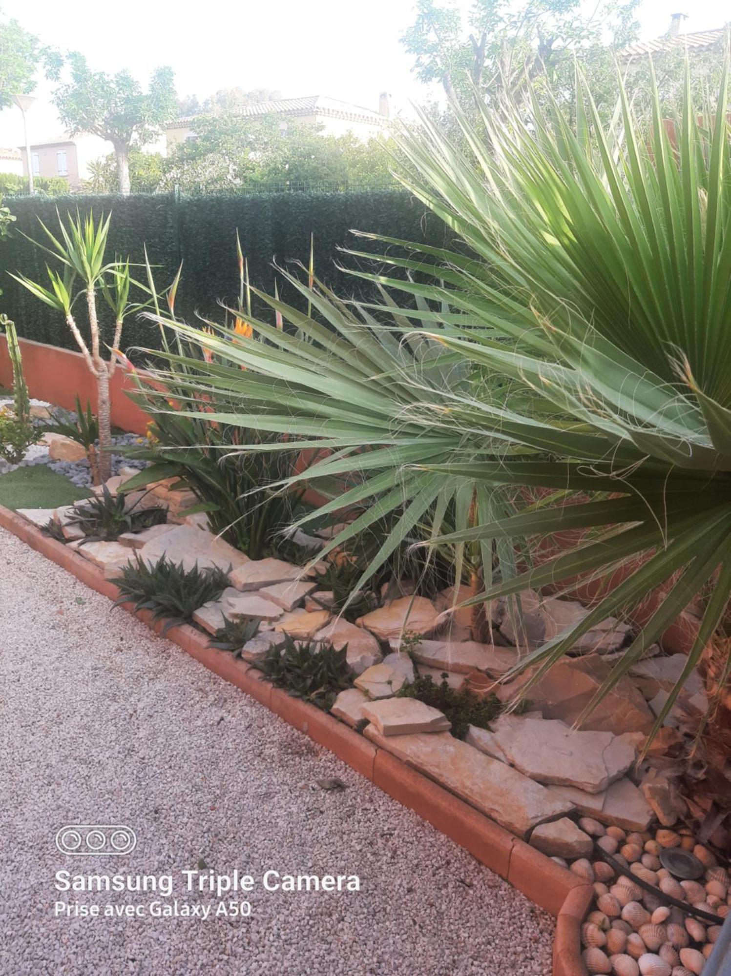 Villa Securisee Pres Des Lecques Saint-Cyr-sur-Mer Exterior foto